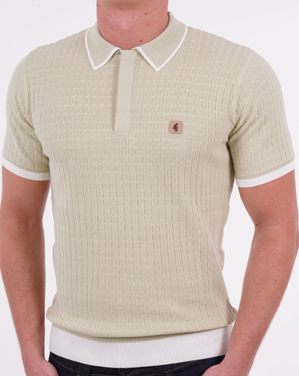 Gabicci Vintage Jura Knit Polo Pistachio